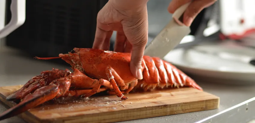 toxiinfección alimentaria-mariscos-consejos