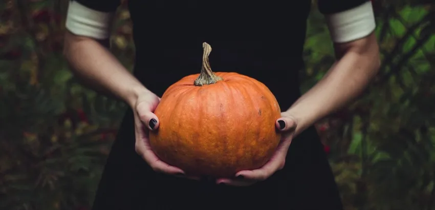 halloween calabaza