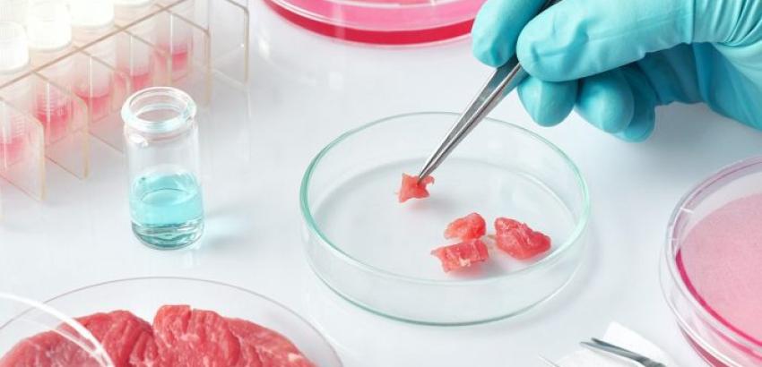 Carne cultivo celular 