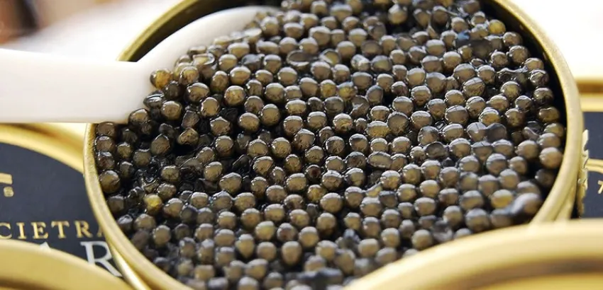 caviar royal oscietra