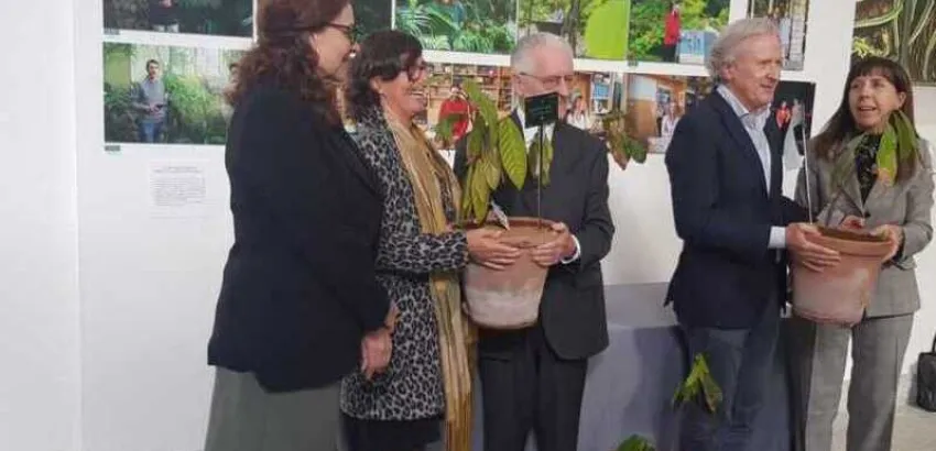 Ecuador dona al Real Jardín Botánico-CSIC la primera planta de cacao