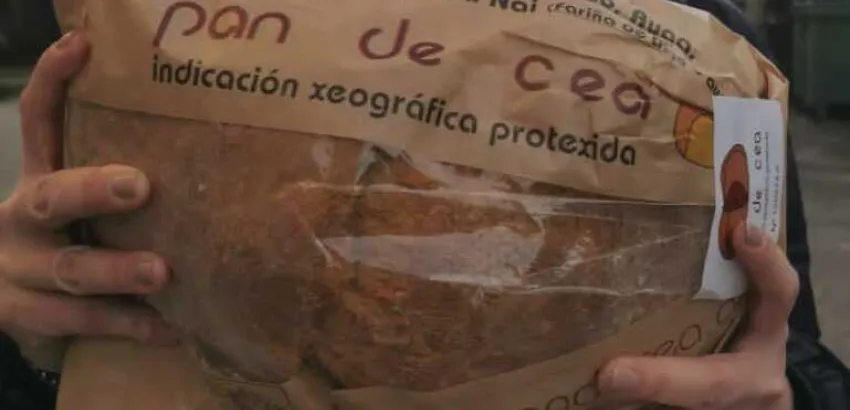 Consejo Regulador Indicación Geográfica Protegida Pan de Cea 