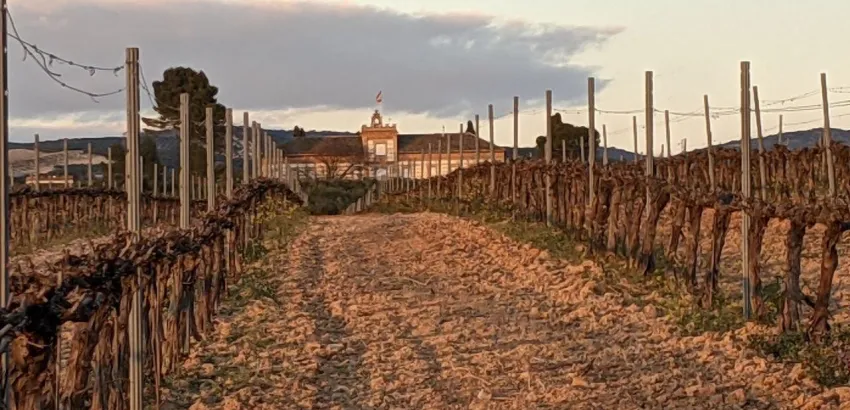 Bodegas La inglesa