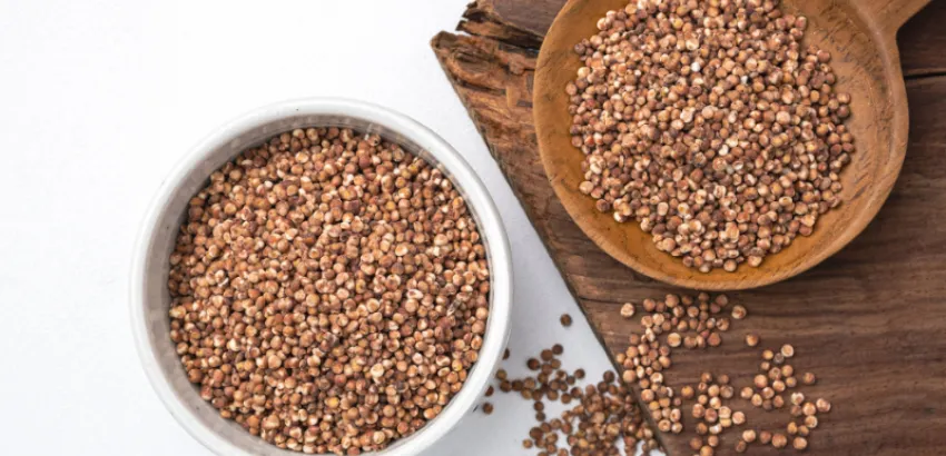 Dieta rica en sorgo para una óptima salud digestiva