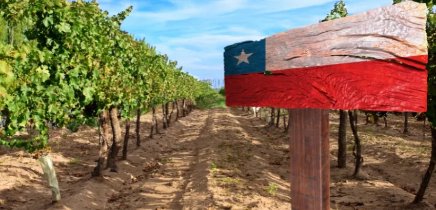 vinos de Chile