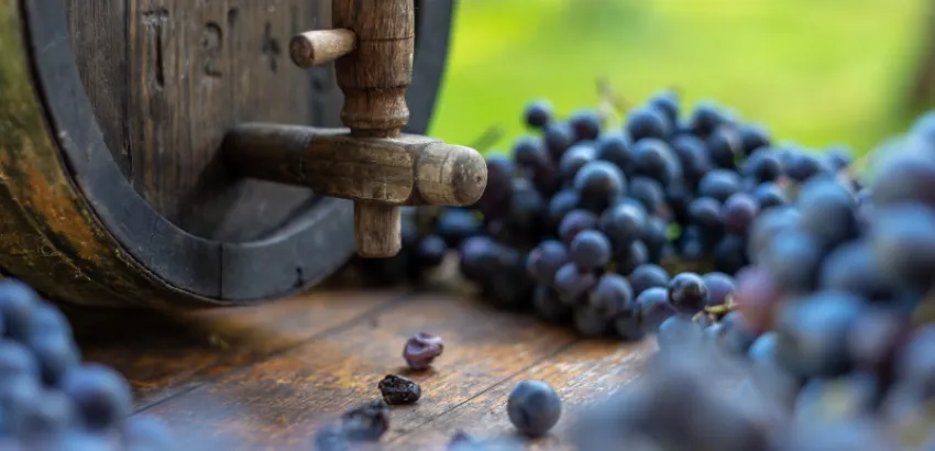 Día Internacional del Cabernet Franc