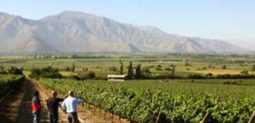 Enoturismo en Chile, las Rutas del Vino