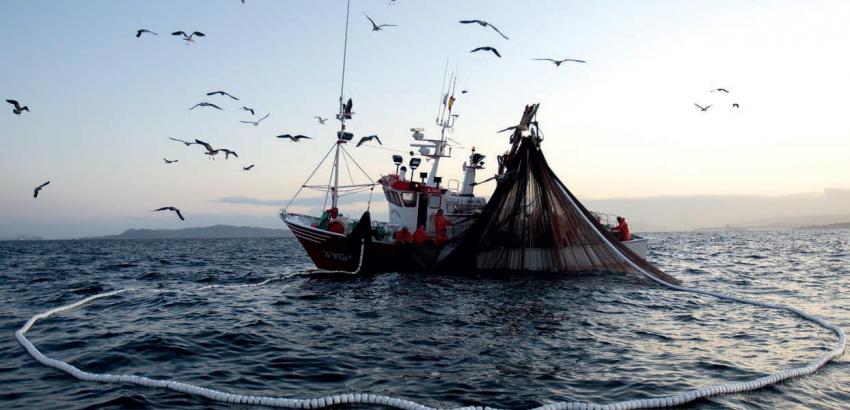 Nuevas directrices para frenar las capturas ilegales de pescado