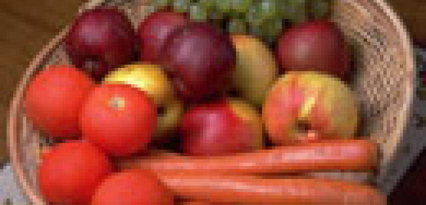 España se ubica como el primer exportador mundial de frutas y hortalizas