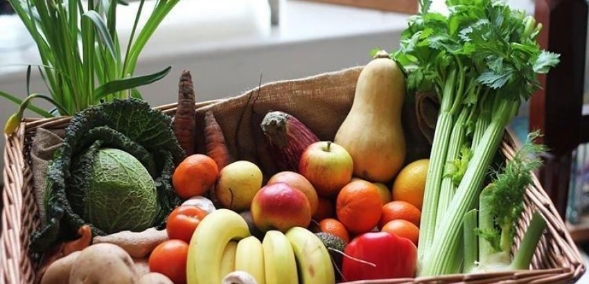 Alimentos eco, una alternativa saludable y respetuosa con el medio ambiente