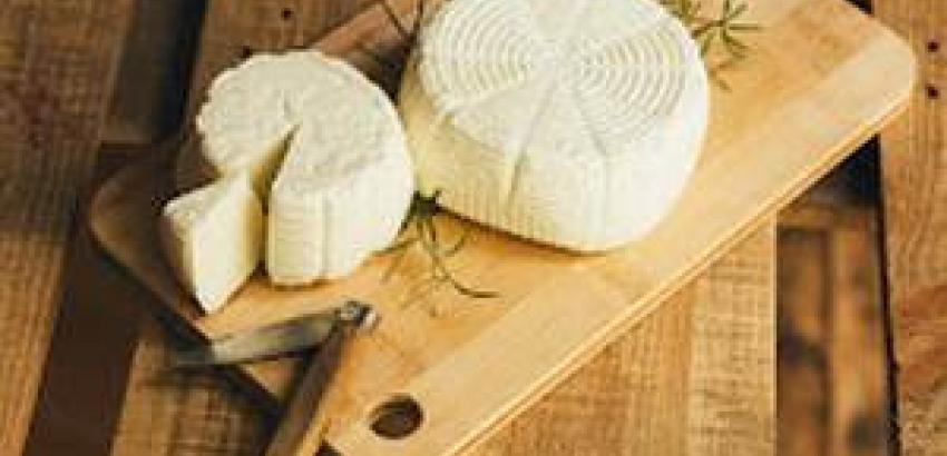 El queso fresco Praizal, mejor queso de la Feria de los Productos de León 2016
