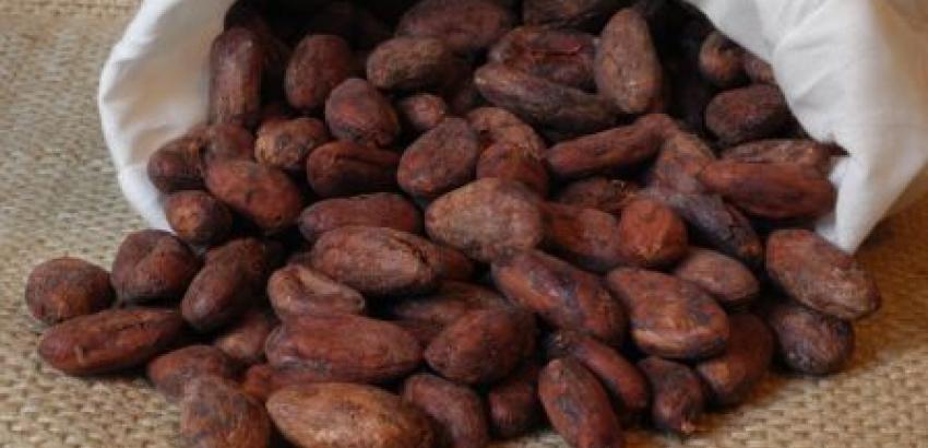La impronta del cacao en la diversidad cultural de Baracoa