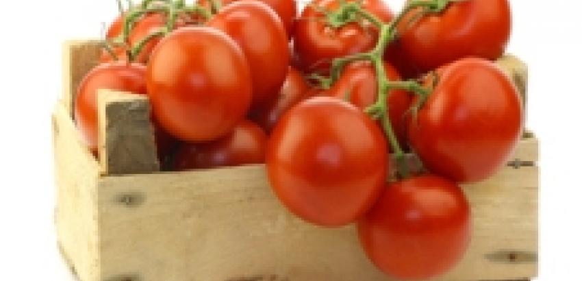 Países Bajos, el mayor exportador de tomate del mundo