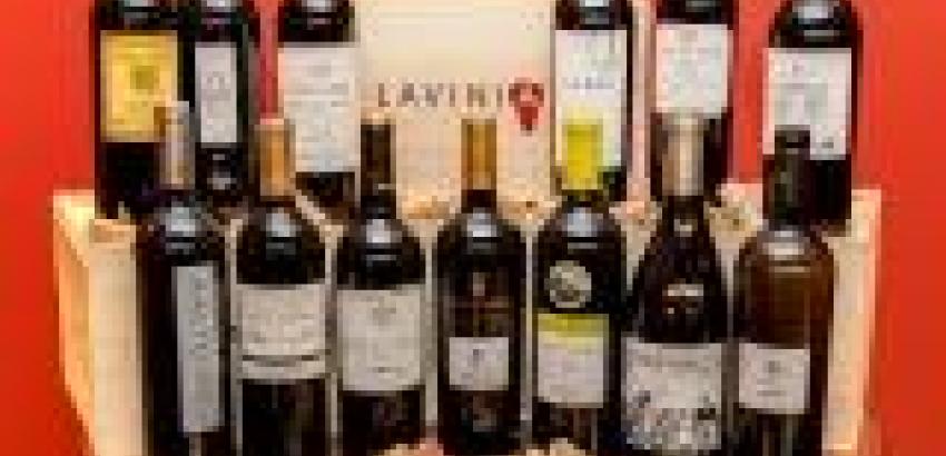 LAVINIA reúne a once prestigiosos bodegueros para presentar un concepto pionero de venta de vino