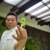 Seminario Gastronomico Internacional Excelencias Gourmet- Hiroyuki-Tereda