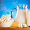 Etiquetado-leche-productos lacteos