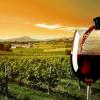 Premios Internacionales ENO-T Wine&Tourism