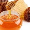 miel-apicultura 