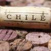 vinos chilenos