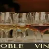 Vinoble 