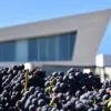 Capital europea del vino 2025