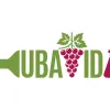 UBAVIDA: Innovación en vino desalcoholizado