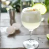 El pisco chileno se apodera de Madrid en una nueva ruta