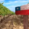 vinos de Chile