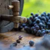 Día Internacional del Cabernet Franc