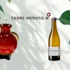 terra remota-vino-emporda