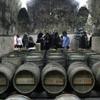 Bulgaria: Producción y exportación de vinos registra una drástica depresión