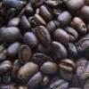 Guatemala: Subastan café gourmet por la internet