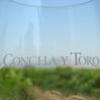 Chile: Concha y Toro cambia su producción de vinos blancos para Casablanca y Limarí