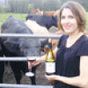 Canadá: Alimentan a las vacas con suplemento de vino tinto