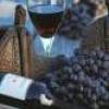 Latinoamérica continúa aumentando su preferencia por el vino