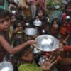 La FAO dedicará más de mil millones de dólares para combatir el hambre