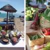 I Foro Profesional de Gastronomía del Mediterráneo