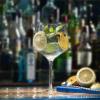 El mejor Gin Tonic de España se sirve en cristal fino de alta resistencia