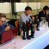 La Guía Peñín evalúa más de 1.000 vinos en la DO CA. Rioja