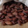 La impronta del cacao en la diversidad cultural de Baracoa